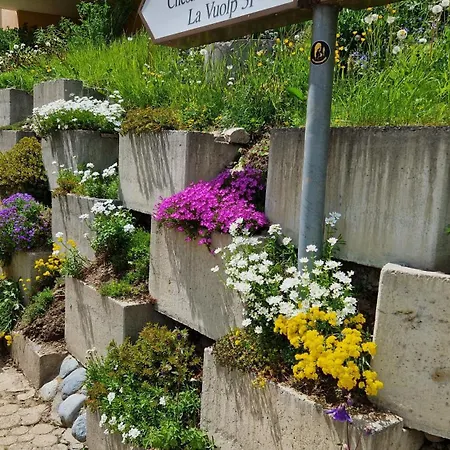 Apartment Chesa Bellaval, Haus Leivra 2 1 2-zimmerwohnung Silvaplana