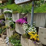 公寓 Chesa Bellaval, Haus Leivra 2 1 2-zimmerwohnung 席尔瓦普拉纳